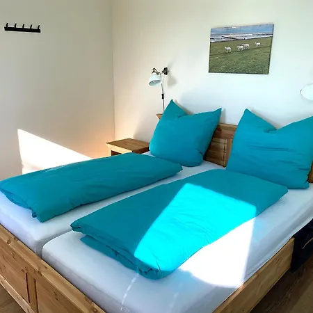 Ockenswarft - Seehund * Nordstrand