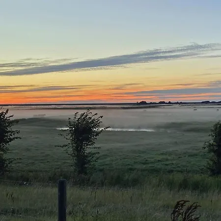 Ockenswarft - Seehund Nordstrand