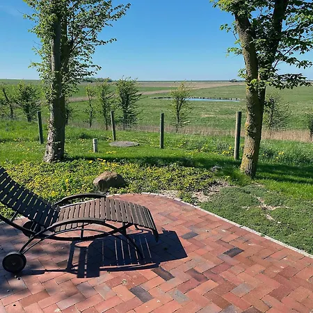 Ockenswarft - Seehund