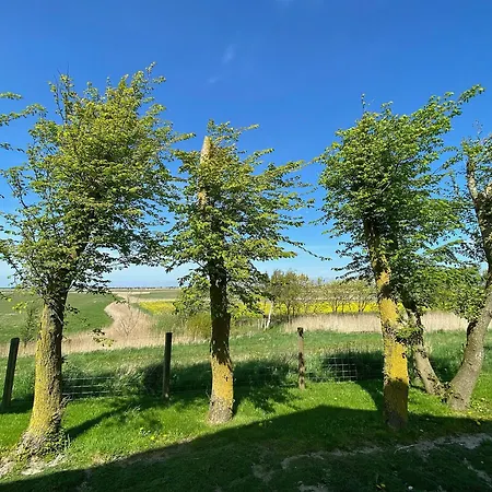 Ockenswarft - Seehund